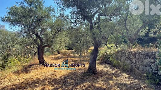 Land for Sale in Helta, Batroun أرض للبيع في حلتا, البترون