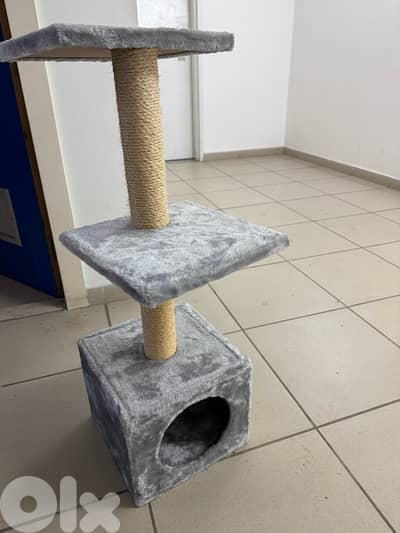 cat scratcher