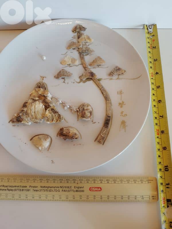 Vintage Japanese Kose-shima Signature Handmade Mother of Pearl Plate 5