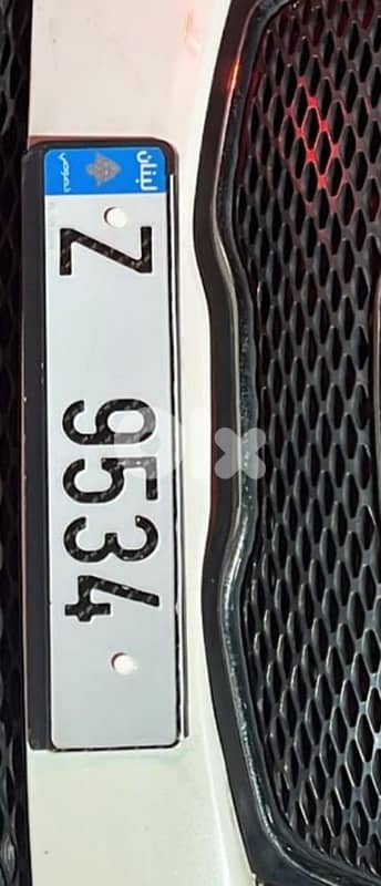 SPECIAL PLATE SUPER SALE!