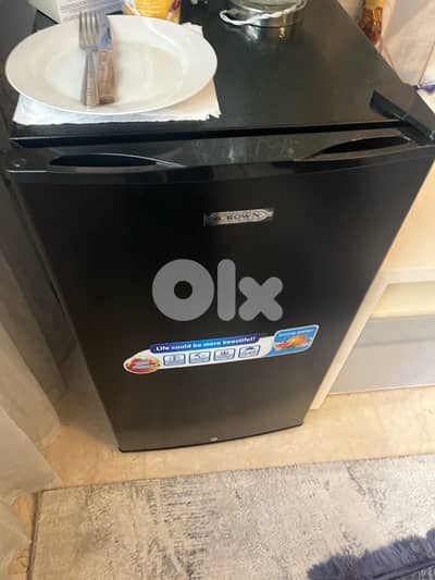 crown mini fridge