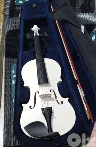 violin