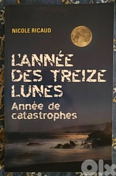 L'année des treize lunes