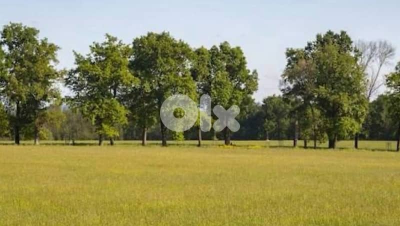 Unique land Rabieh residential for villa with beautiful sea view 4