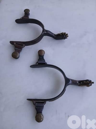 تحفة حصان أمريكي اصلي