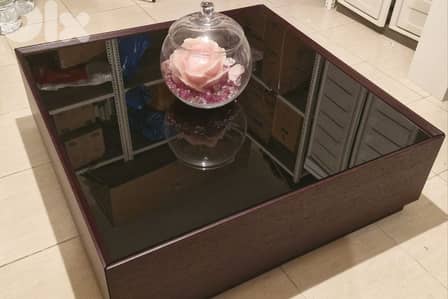 GORGEOUS GLASS COFFEE-TABLE