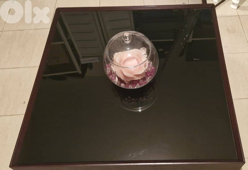 GORGEOUS GLASS COFFEE-TABLE 1