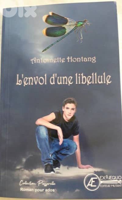 L'envol d'une libellule