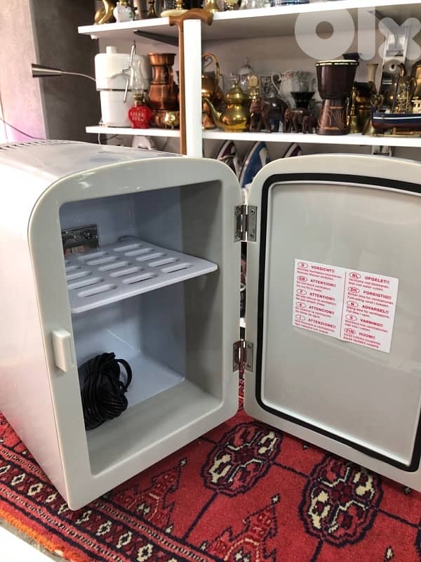 Mini Portable Fridge 1