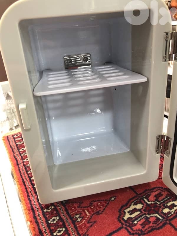 Mini Portable Fridge 3
