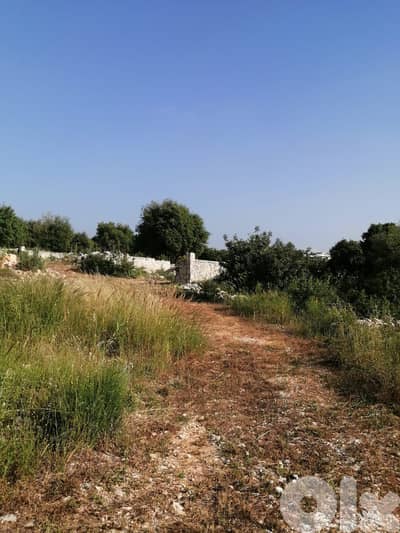 Land for sale in Artiz, Batroun أرض للبيع في عرطز، البترون