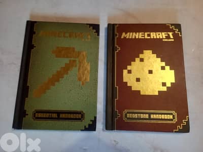 two minecraft books both for 15$