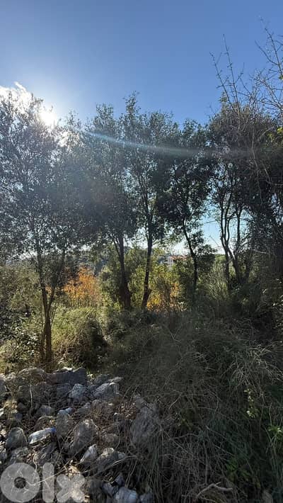 Land for sale in Batroun - أرض للبيع في البترون