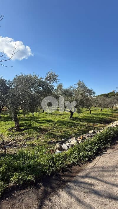 Land for sale in Batroun - أرض للبيع في البترون