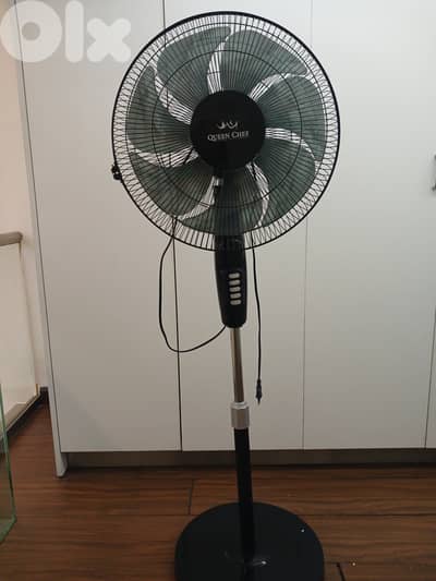 Nice fan