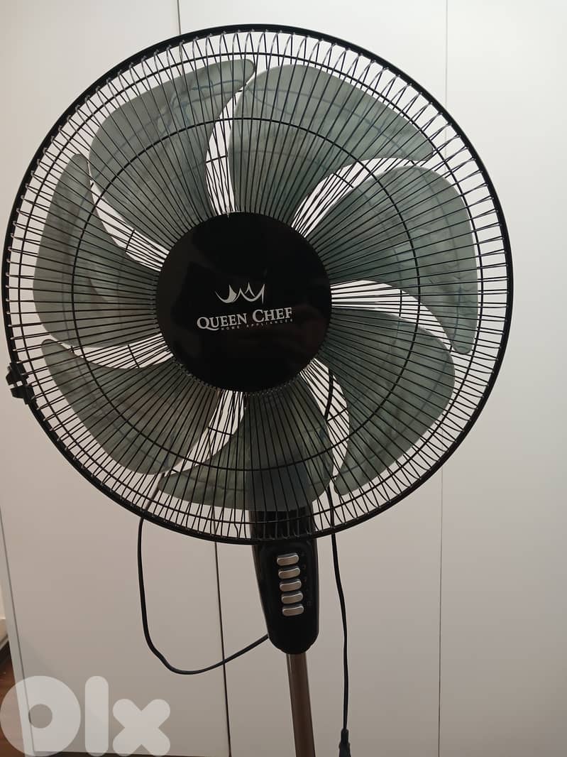 Nice fan 1