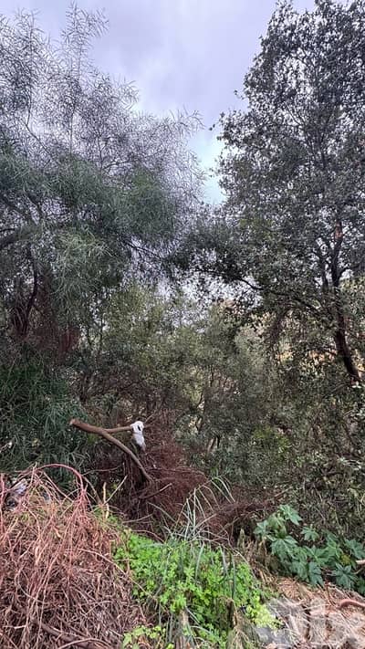 Land for sale in aoukar-haret el ballaneh/أرض للبيع في عوكر