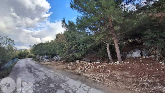Land for sale in Hardine - أرض للبيع في حردين
