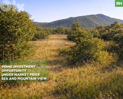 4,785 SQM land/ Mlikh/JEZZINE/مليخ ! REF#BH131690 !