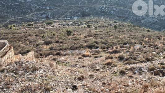 Land for sale in Ain Akrin - أرض للبيع في عين عكرين