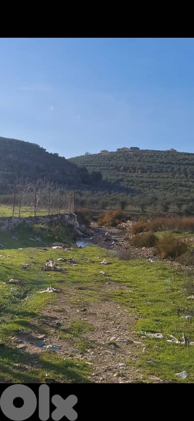 Land for sale in Bziza - أرض للبيع في بزيزا
