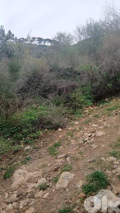 أرض للبيع في دقون عاليه land for sale in aley daoun