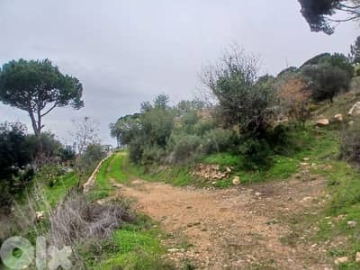 أرض للبيع في عاليه دقون land for sale in aley daooun