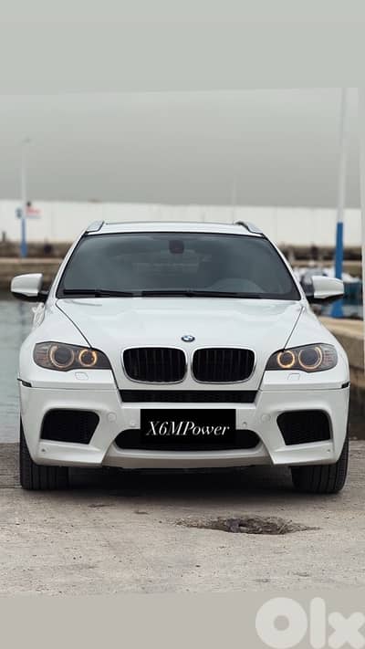 BMW X6 2010