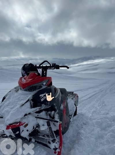 2021 arctic cat alfa