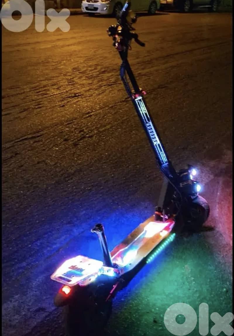 Duol motor electric scooter 1