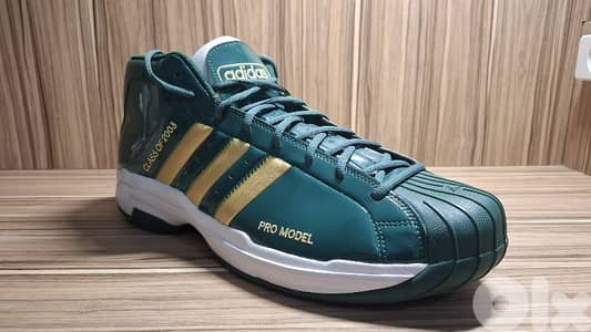 Basketball Shoes (New) + Casual Shoes (Like New) | $120