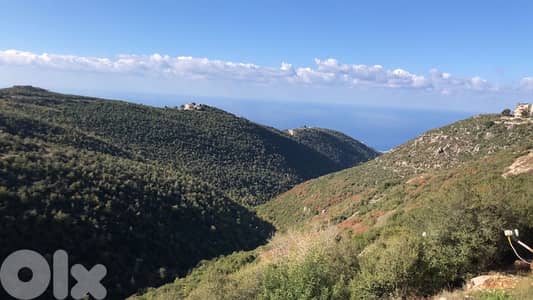Rental Apartment in Breij, panoramic view