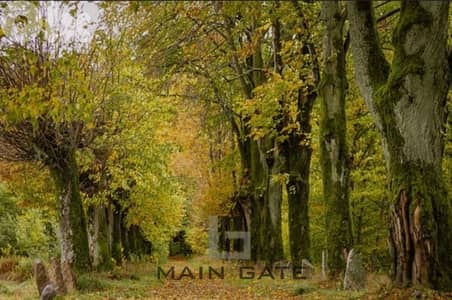 Land for Sale in Baabdat