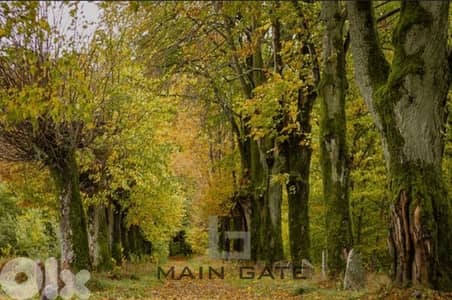 Land for Sale in Baabdat