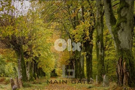 Land for Sale in Baabdat