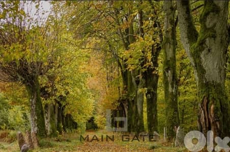 Land for Sale in Baabdat