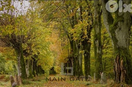 Land for Sale in Baabdat