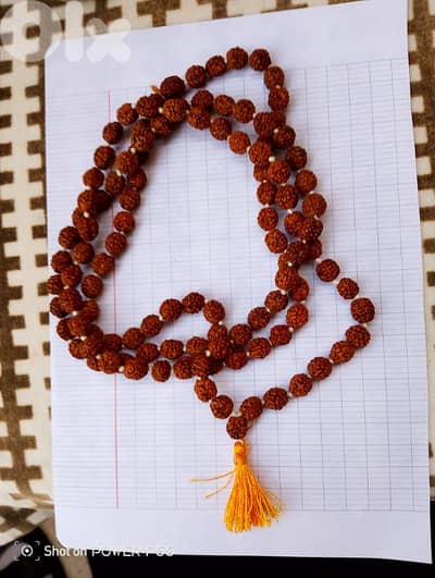 المتن لبنان