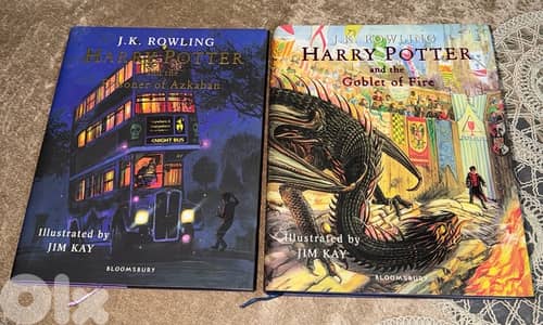 harry potter illustrated