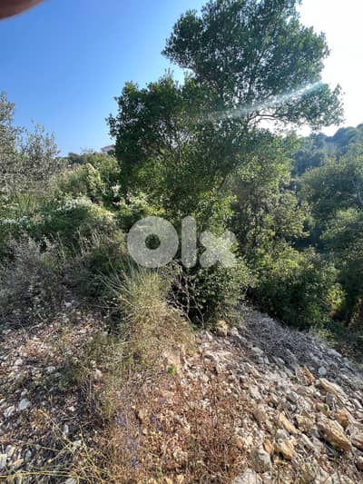 Land for sale in Ebrine Batroun عقار للبيع في عبرين بترون