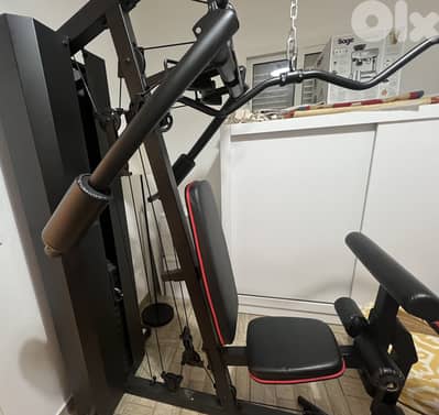 New Adidas body building