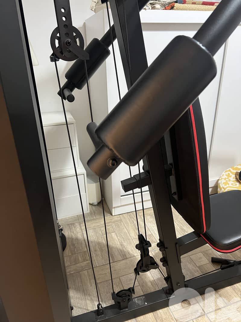 New Adidas body building 5