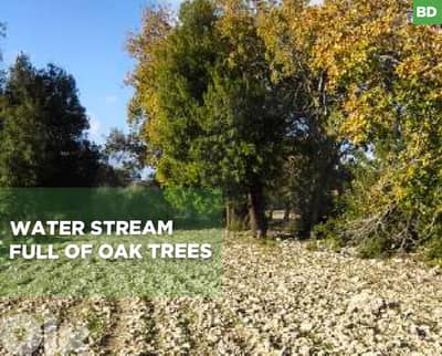 peaceful plot surrounded by nature, koura, bechmezzine REF#BD131211