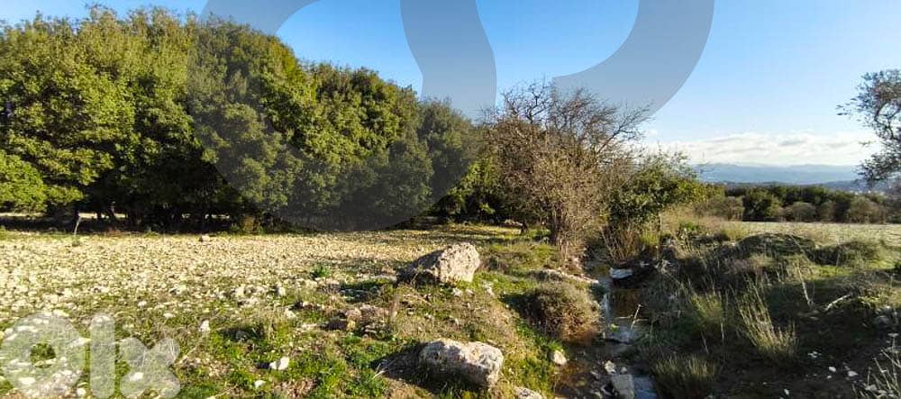 peaceful plot surrounded by nature, koura, bechmezzine REF#BD131211 1