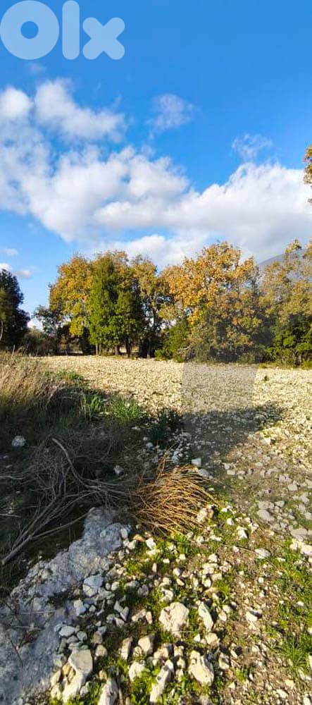 peaceful plot surrounded by nature, koura, bechmezzine REF#BD131211 2