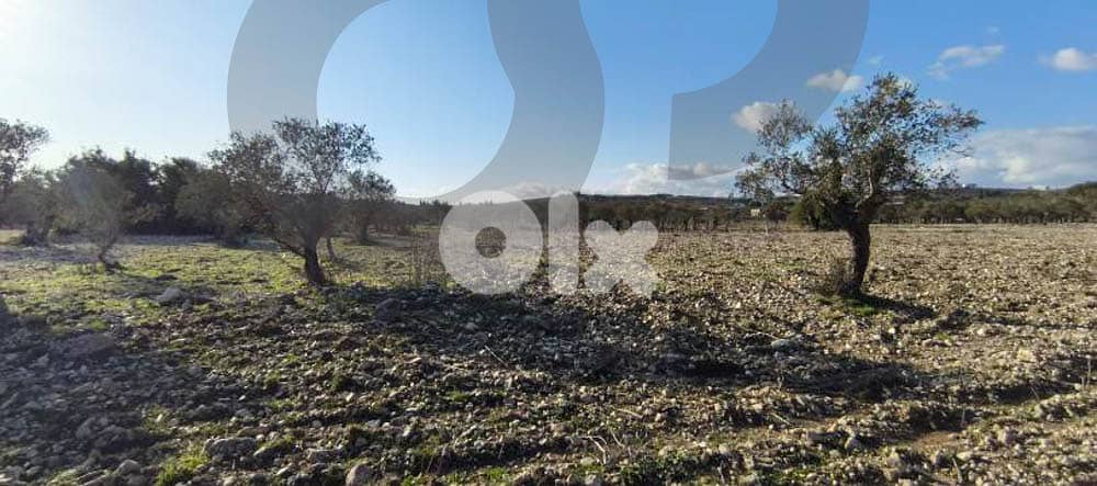 peaceful plot surrounded by nature, koura, bechmezzine REF#BD131211 3