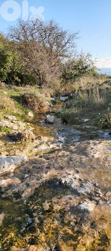 peaceful plot surrounded by nature, koura, bechmezzine REF#BD131211 4