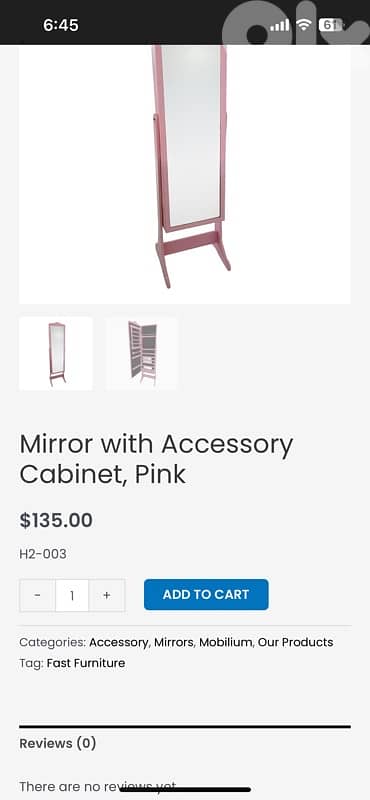 Mirror with Accessory Cabinet 3