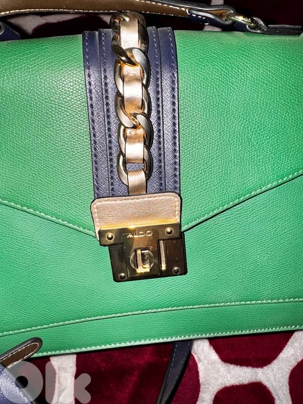 Aldo bag 4