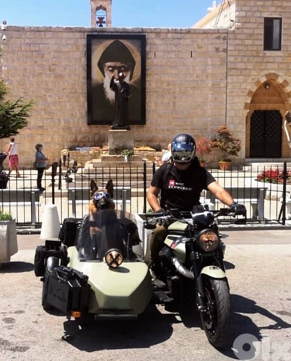 Moto Guzzi / Griso - 1200 cc - Sidecar 5